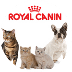 logo partenaire royal canin chat bengal (1)